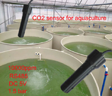 Capteur de CO2 dissous par surveillance de qualité de l'eau de RS485 IP68 pour l'aquiculture 10000PPM