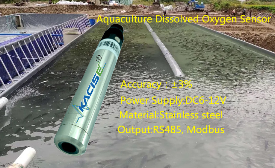 Sortie RS485 capteur d'oxygène dissous capteur de qualité de l'eau IP68 fluorescence optique faire sonde pour ferme de crevettes